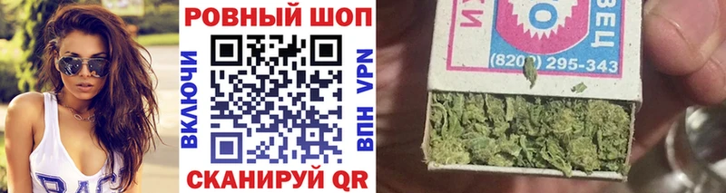 Альфа ПВП Стародуб