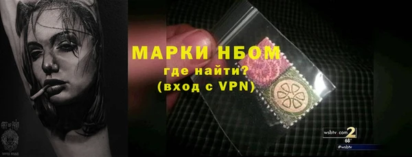 индика Тобольск