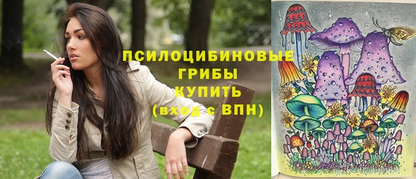 спиды Кукмор