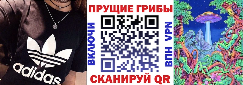 Галлюциногенные грибы MAGIC MUSHROOMS  мега tor  Стародуб  купить закладку 