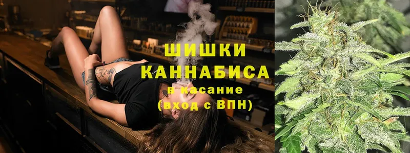 Бошки Шишки Bruce Banner  Стародуб 