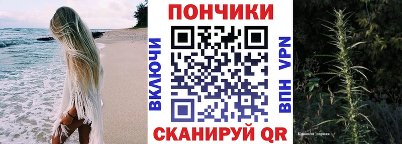 хочу наркоту  Стародуб  Бошки марихуана OG Kush 